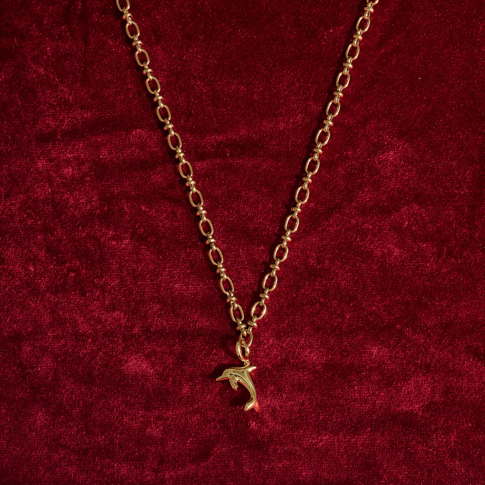 Charm Necklace - Dolphin