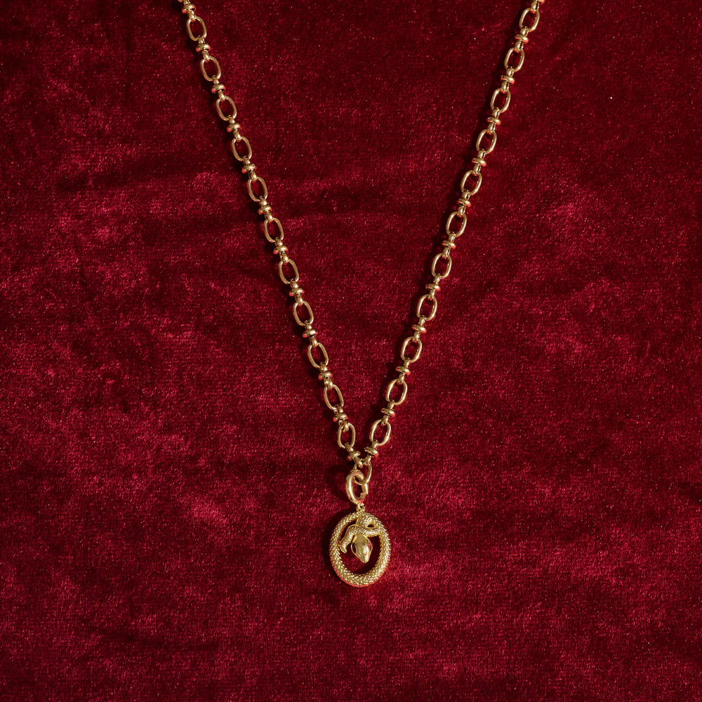 Charm Necklace - Snake