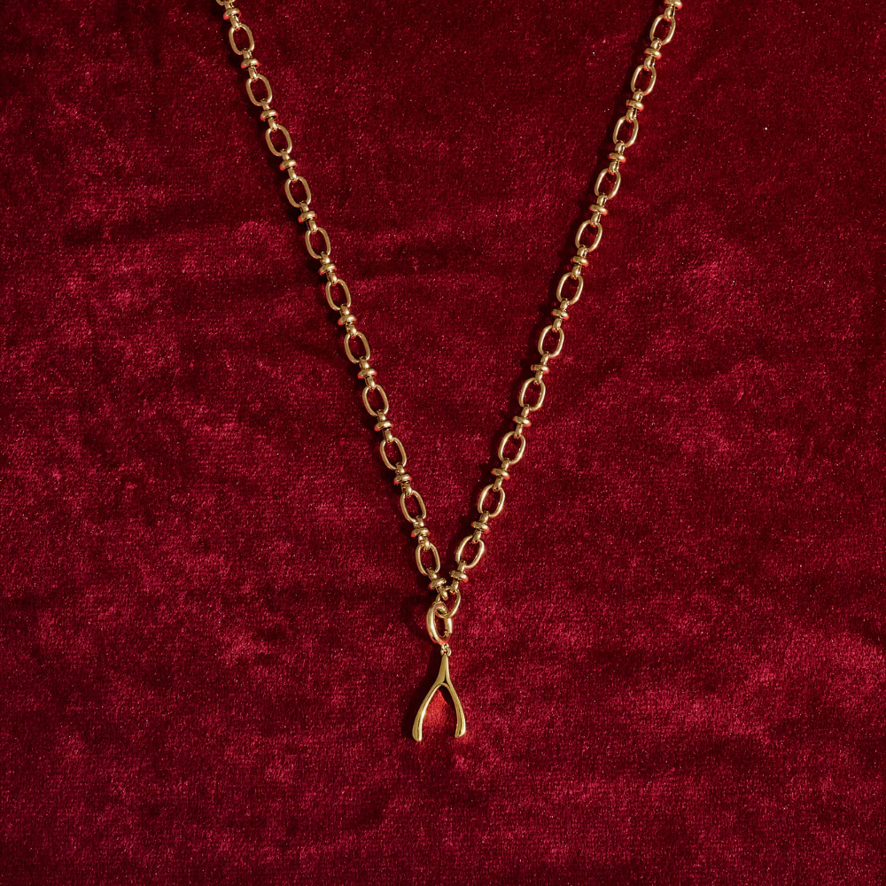 Charm Necklace - Wishbone
